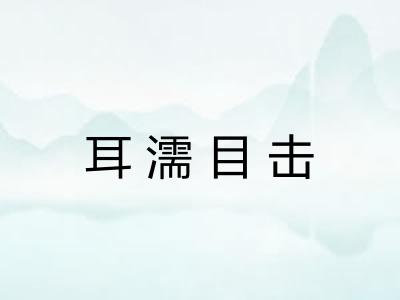 耳濡目击