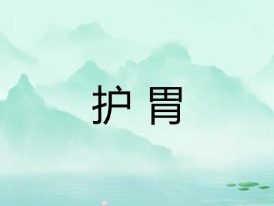 护胃
