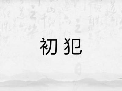 初犯