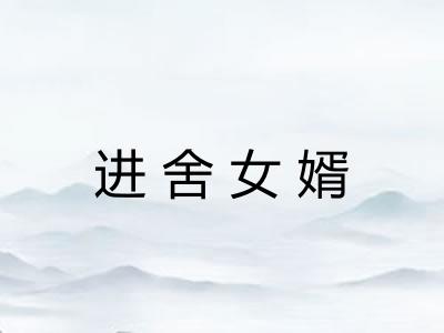 进舍女婿