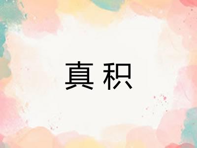 真积