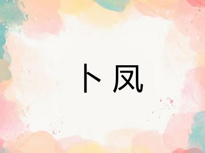 卜凤