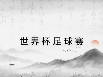 世界杯足球赛