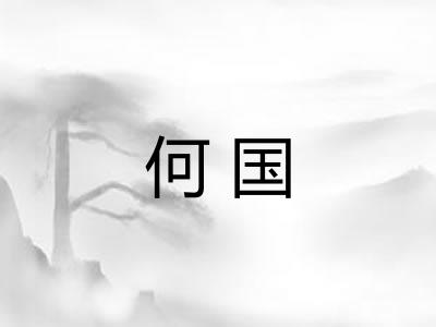 何国