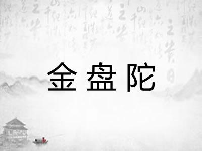 金盘陀