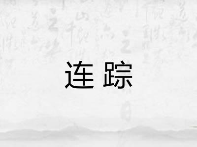 连踪