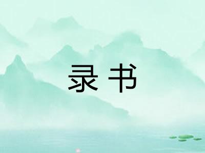 录书