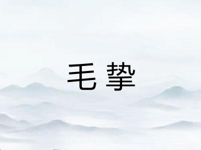毛挚