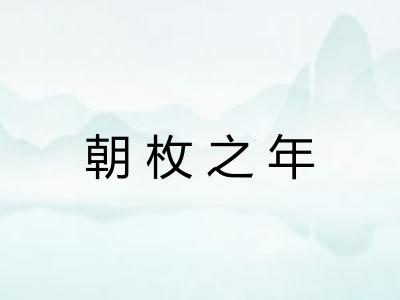 朝枚之年