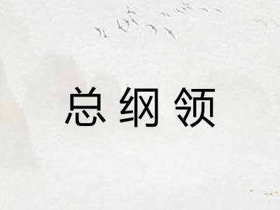 总纲领