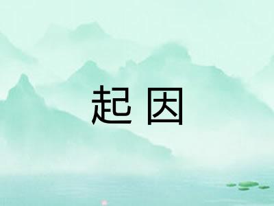 起因