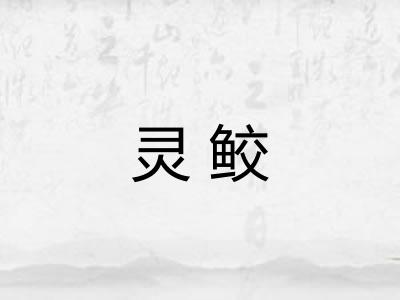 灵鲛