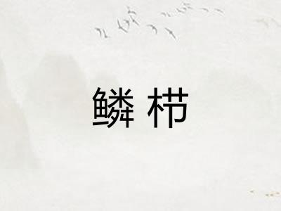 鳞栉