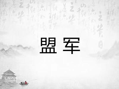 盟军
