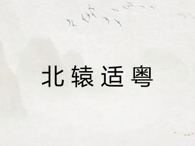 北辕适粤