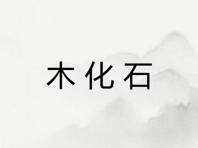 木化石