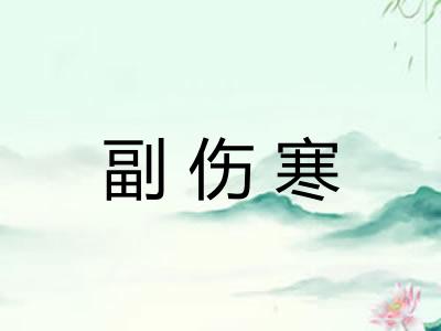 副伤寒