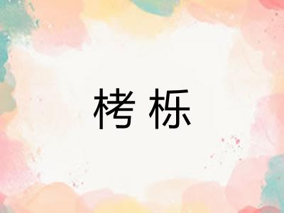 栲栎