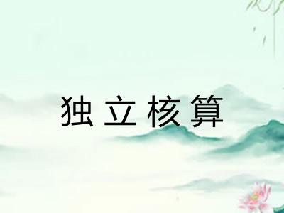 独立核算