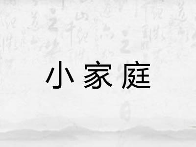 小家庭