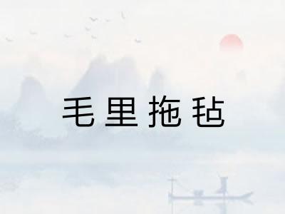 毛里拖毡