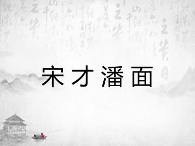 宋才潘面