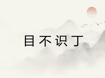 目不识丁