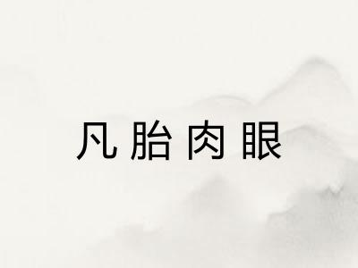 凡胎肉眼