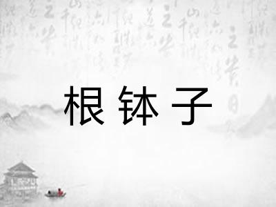 根钵子