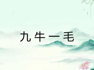 九牛一毛