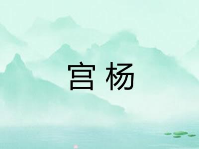 宫杨