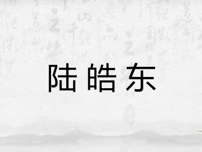 陆皓东