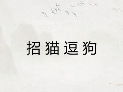 招猫逗狗