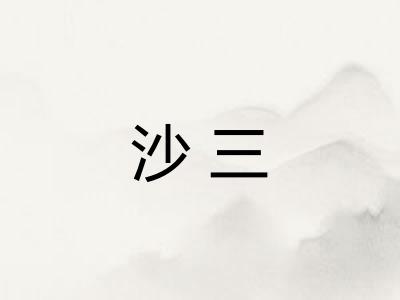 沙三