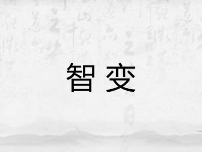 智变