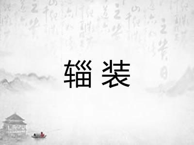 辎装