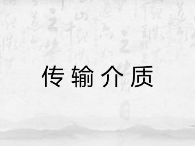 传输介质