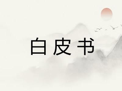 白皮书