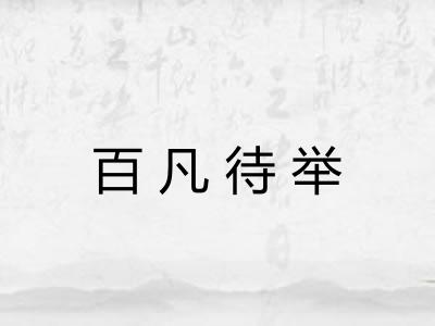 百凡待举
