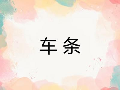车条