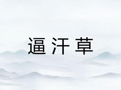 逼汗草