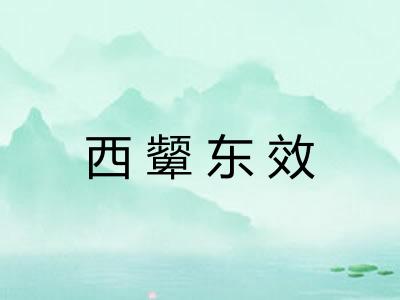 西颦东效
