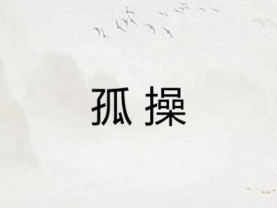 孤操