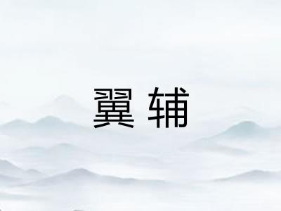 翼辅