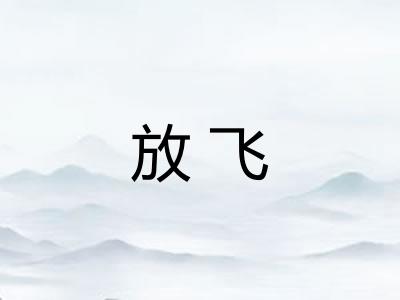 放飞