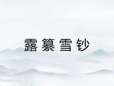 露纂雪钞