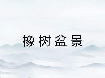 橡树盆景