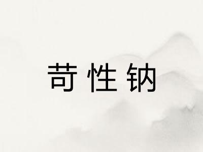 苛性钠