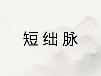 短绌脉