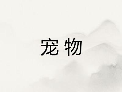 宠物